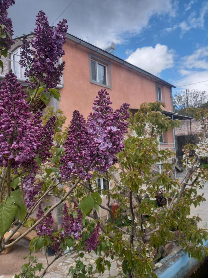 Byurakan Guesthouse & Cottage エクステリア 写真